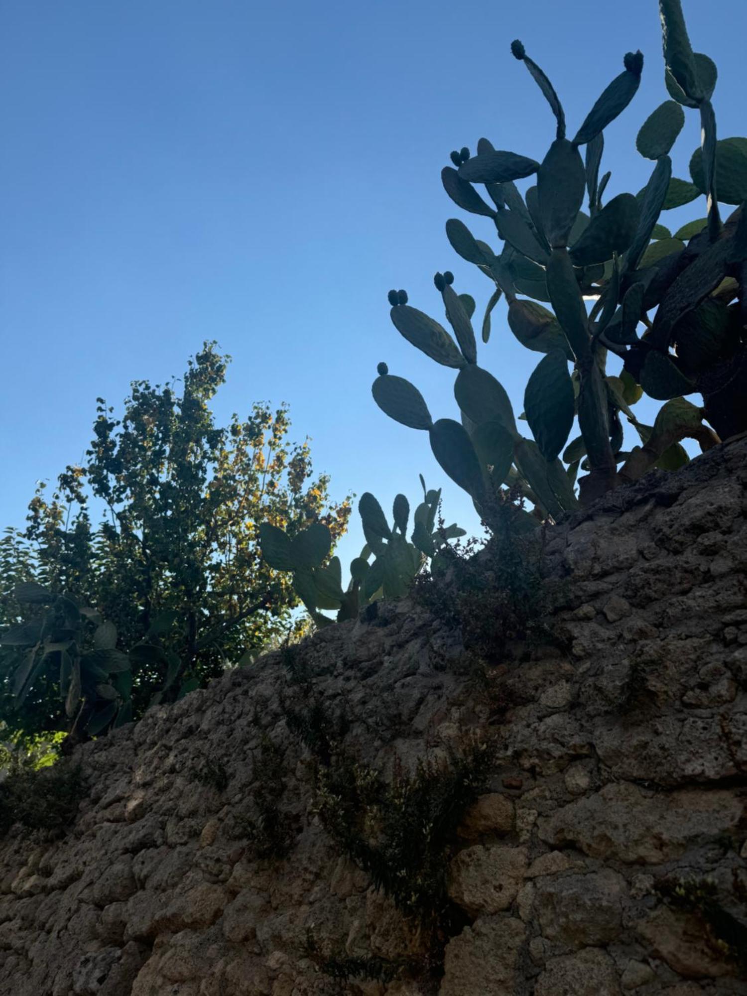 杰拉切La Rosa Blu住宿加早餐旅馆 外观 照片